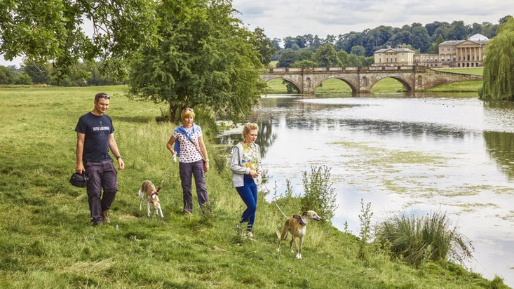 Three visitors walking two dogs on leads along the river at Kedleston, with a view of the bridge and hall in the background on a warm day